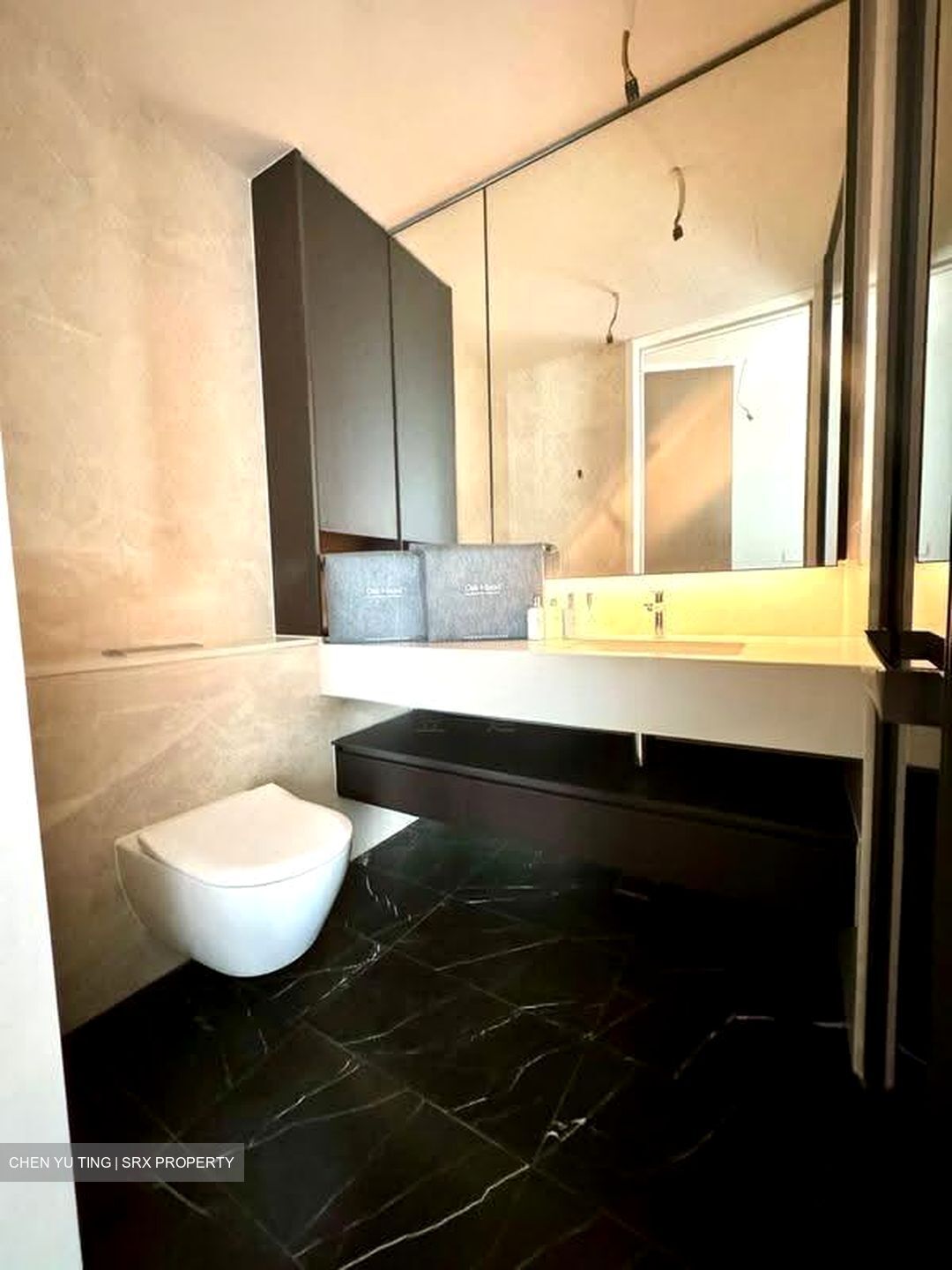 Amber Park (D15), Condominium #625547121